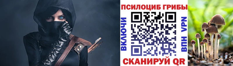 Галлюциногенные грибы мухоморы  где купить   Пучеж 