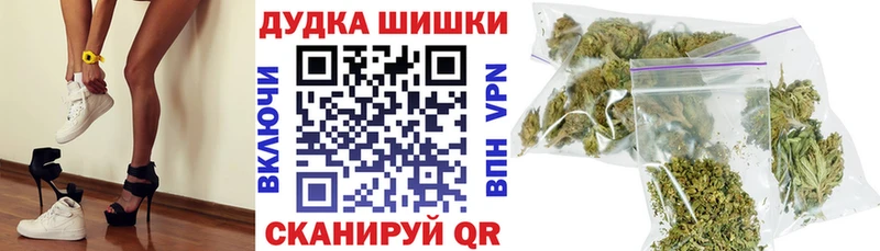 Бошки Шишки SATIVA & INDICA  продажа наркотиков  Пучеж 